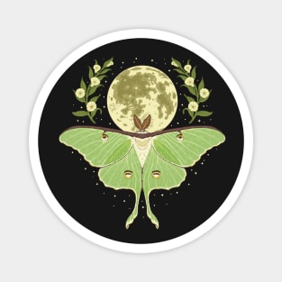 Luna Moth At Night Magnet